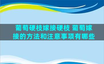 葡萄硬枝嫁接硬枝 葡萄嫁接的方法和注意事项有哪些